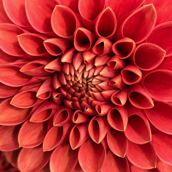 Meet your Posher, Susan - Picture 7 of 15